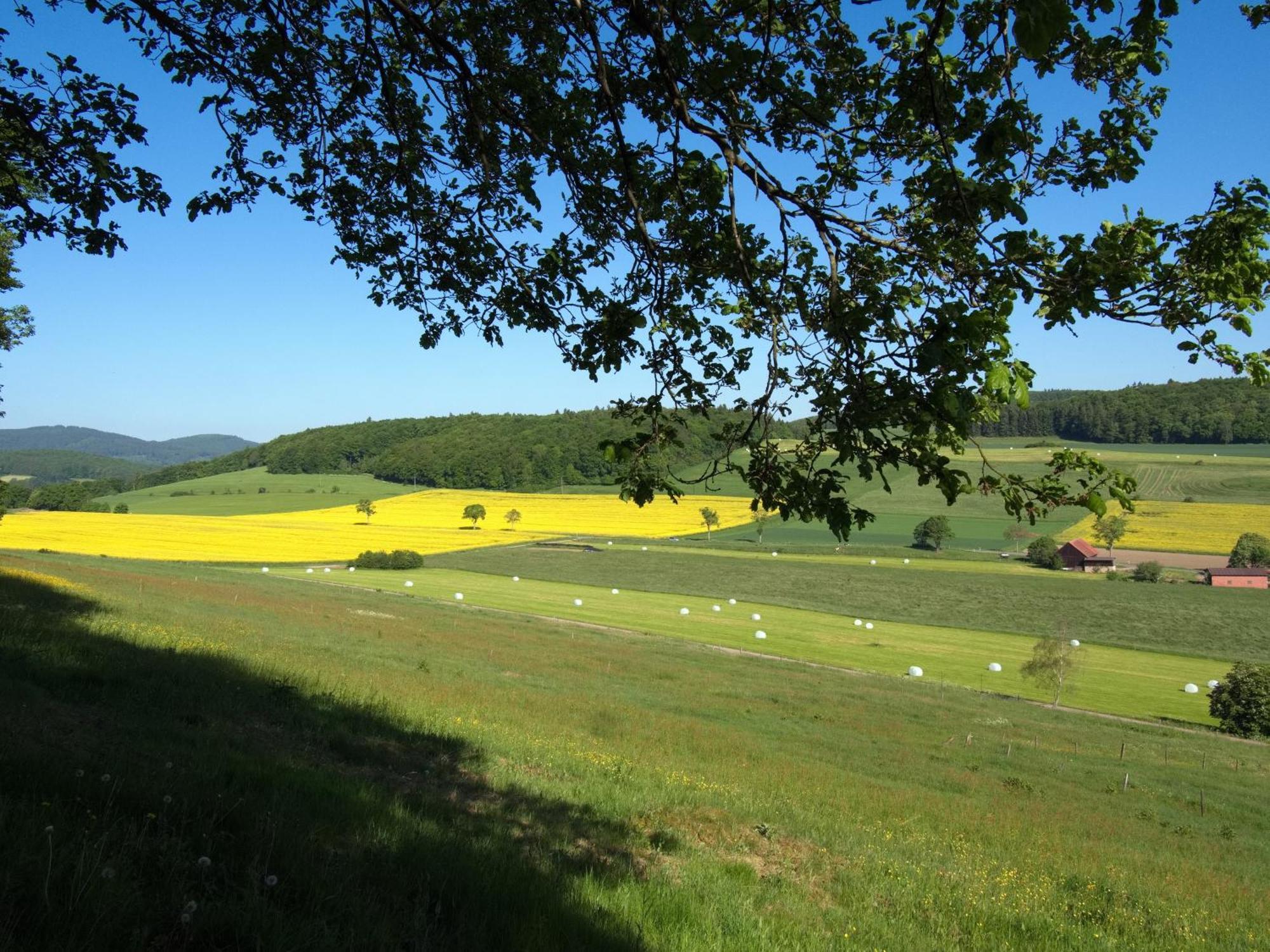 Diemelsee Sudeck - Ein Ferienhaeuschen Zum Wohlfuehlen Exteriör bild